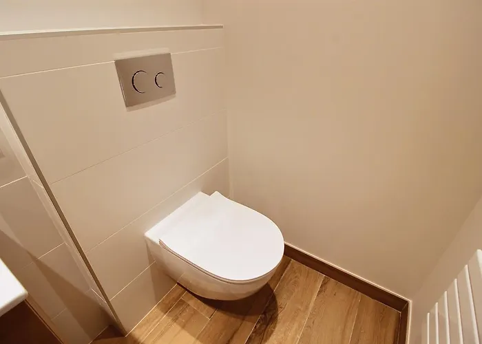 Apartment Design Hypercentre Toulouse