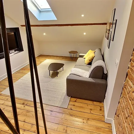 Apartment Design Hypercentre Toulouse